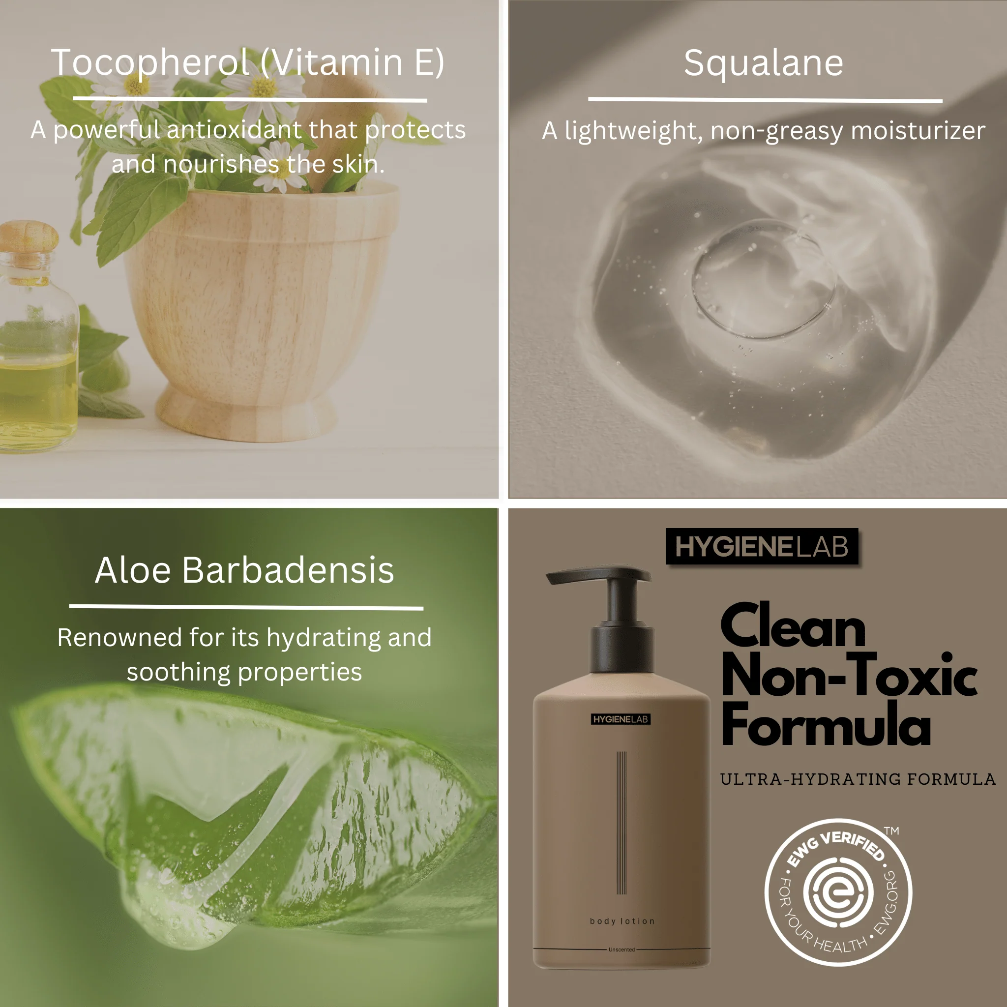 Body Lotion - Image 3